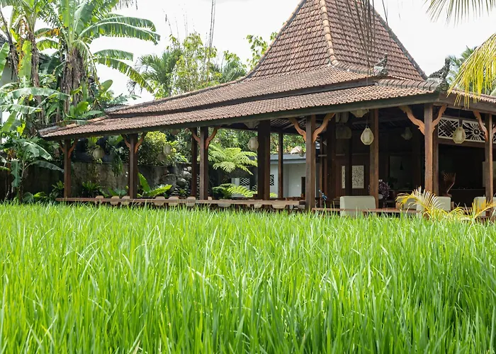 The Sakara 4*